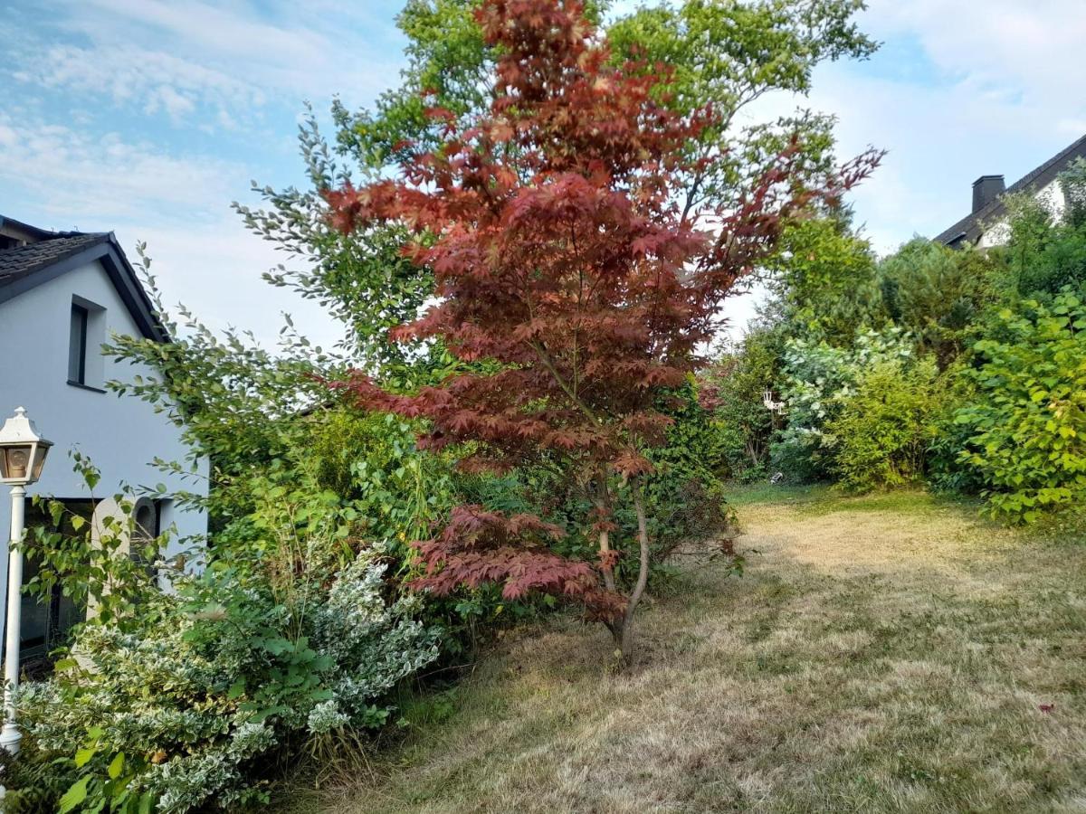 Haus Edda - Ferienwohnungen Mit Garten Und Schlossblick Marburg Eksteriør billede