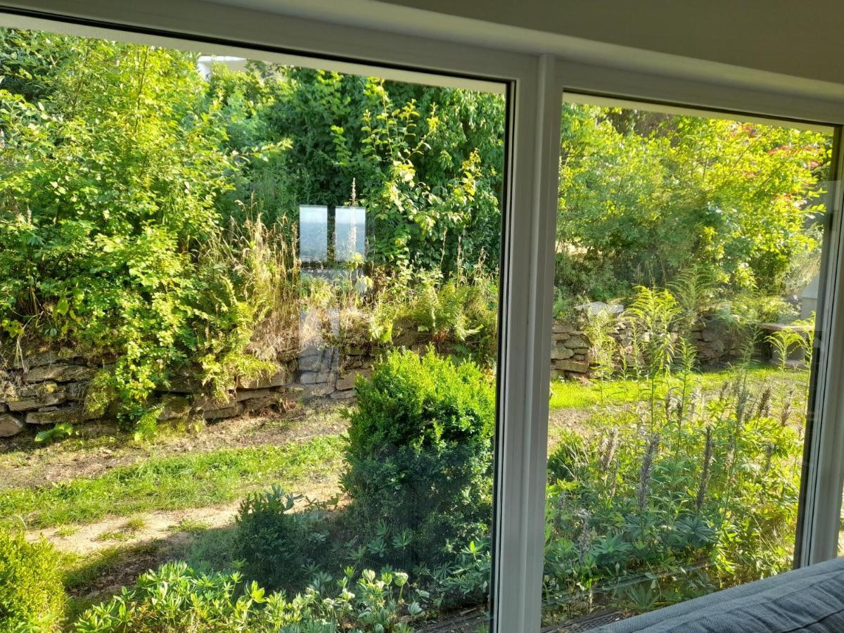 Haus Edda - Ferienwohnungen Mit Garten Und Schlossblick Marburg Eksteriør billede